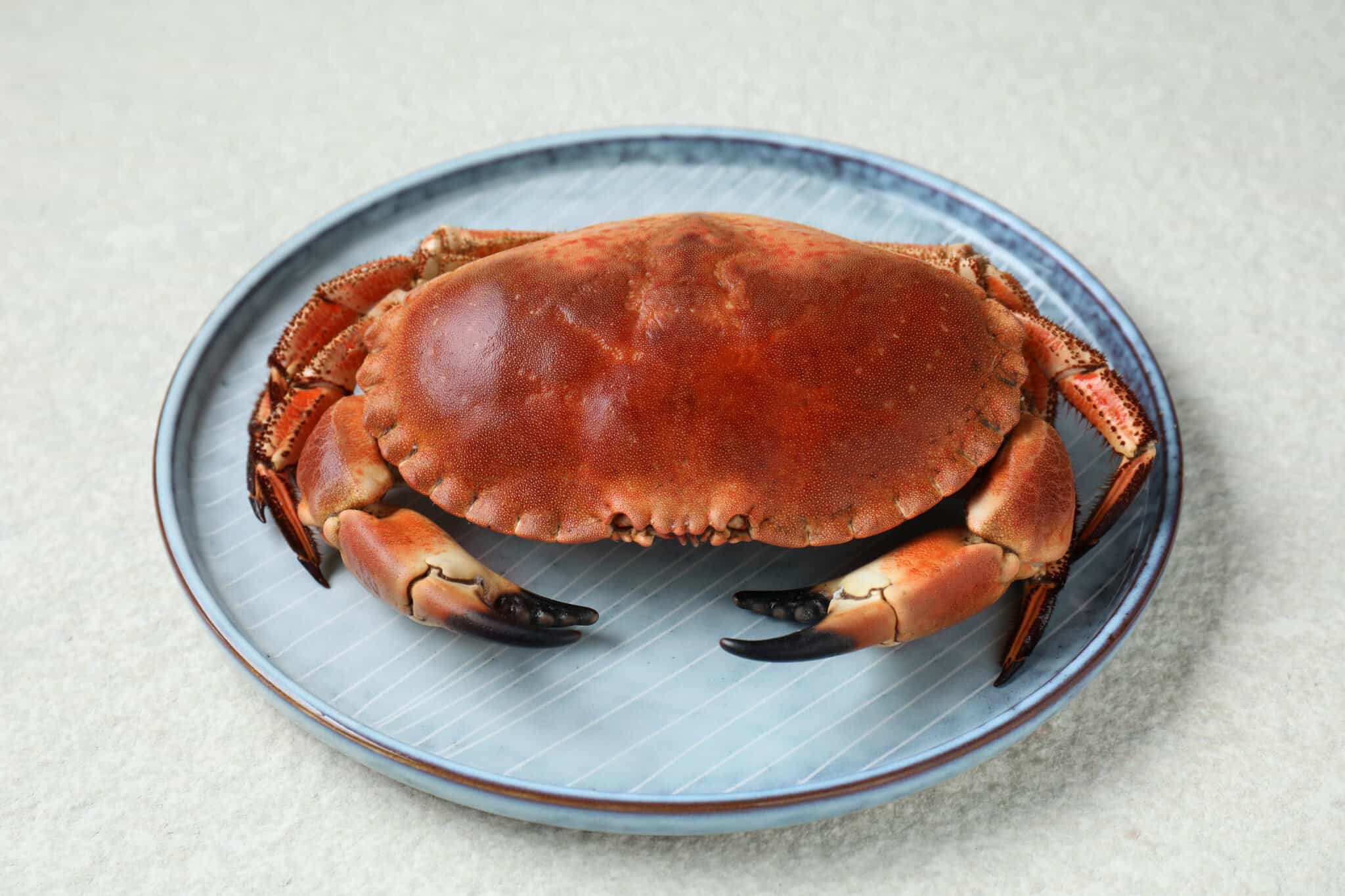 Delicious boiled crab on white textured table